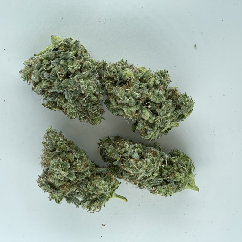 CBD bud