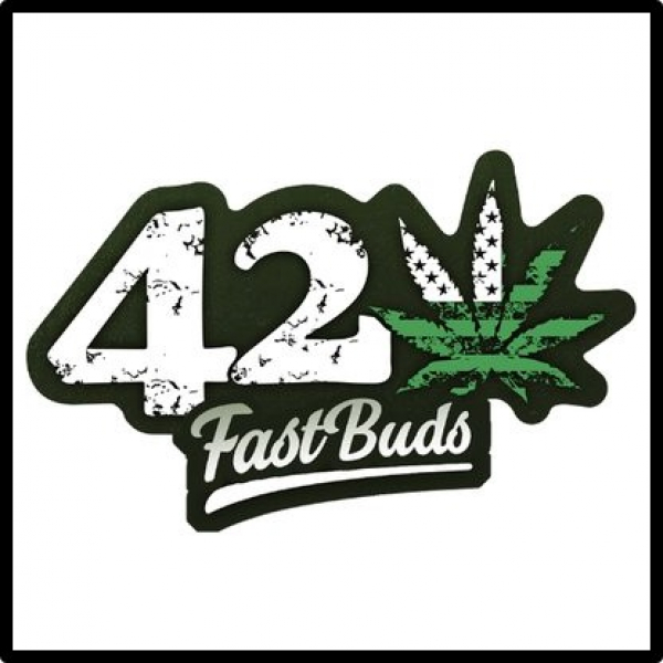Fast Buds