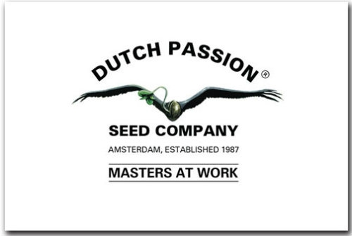 Dutch Passion